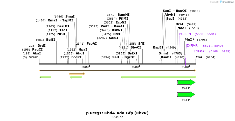 395094_map