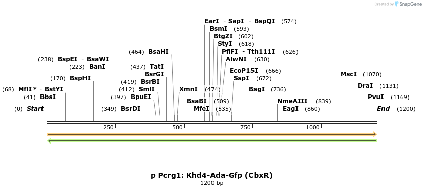 395096_map
