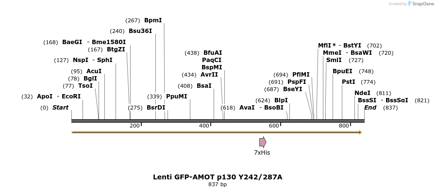 39517_map