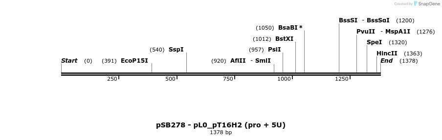 395267_map