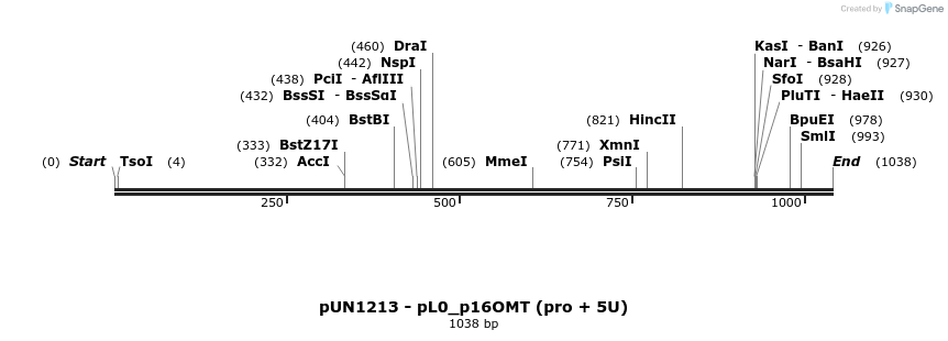 395269_map