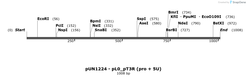 395273_map