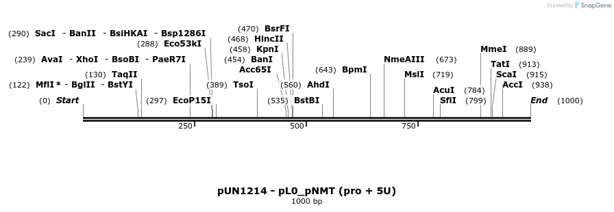 395275_map