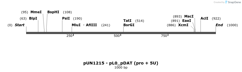 395279_map