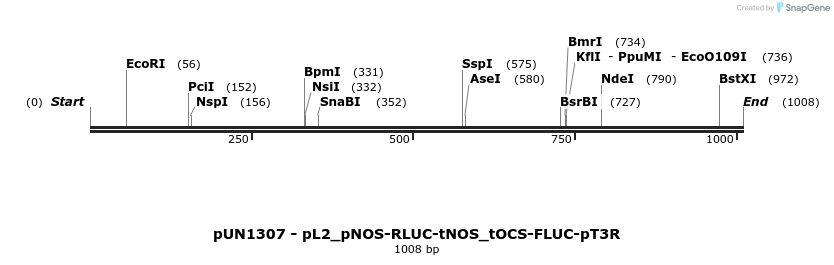 395287_map