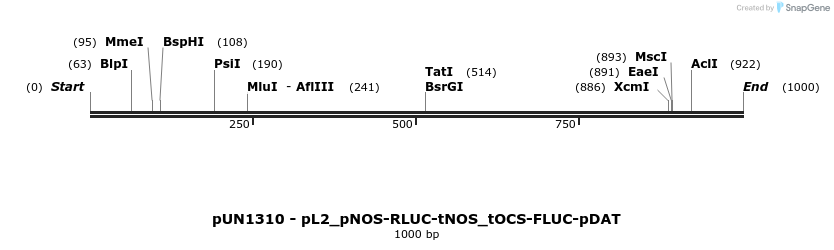 395293_map