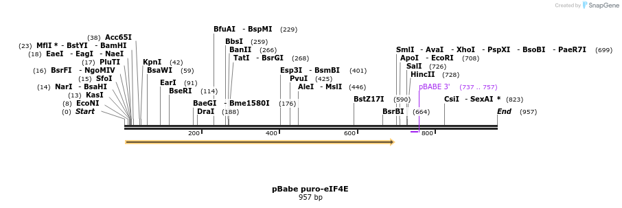 39540_map