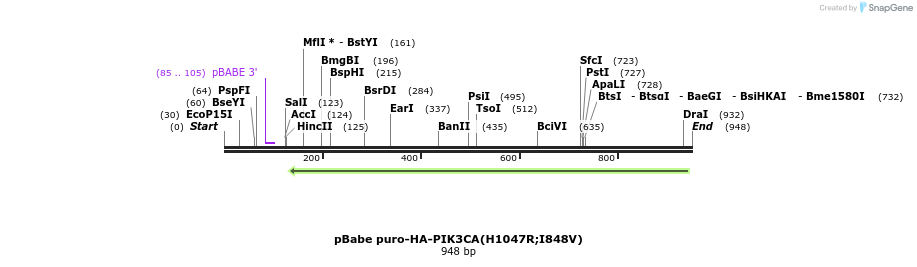 39541_map