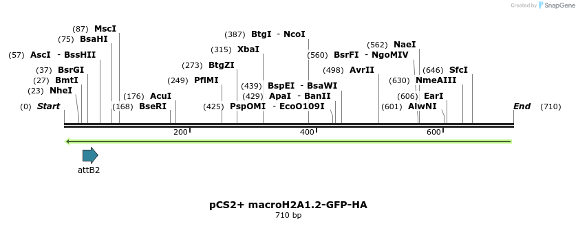 39547_map