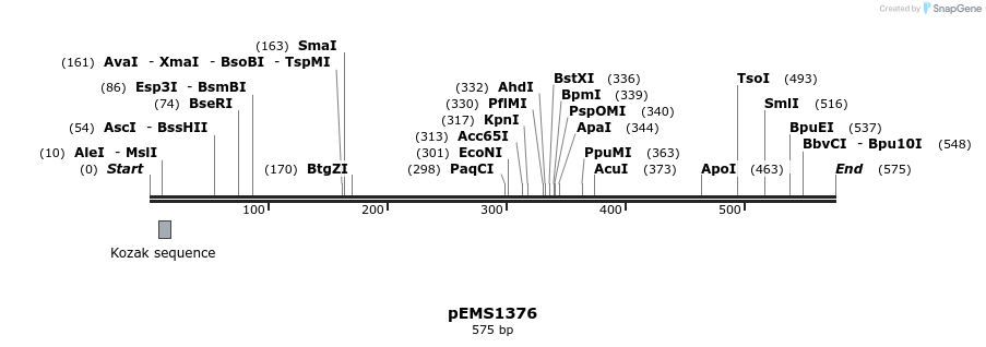 39550_map