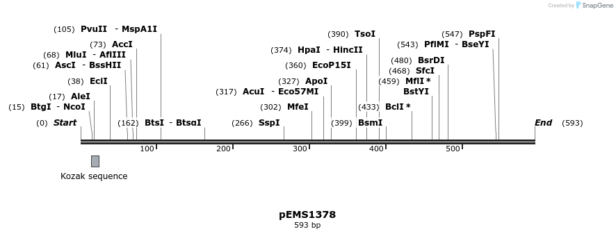 39553_map
