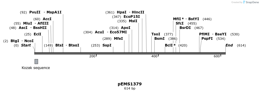 39556_map