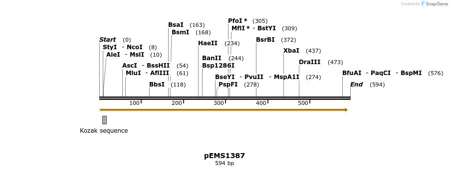 39560_map