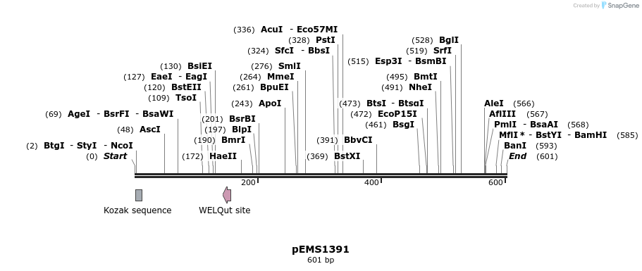 39564_map
