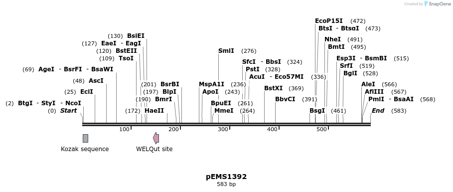 39565_map