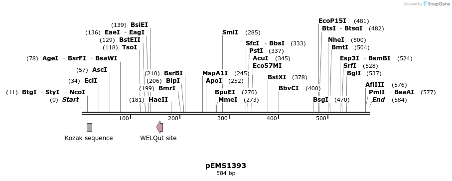 39566_map
