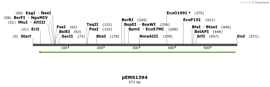39567_map