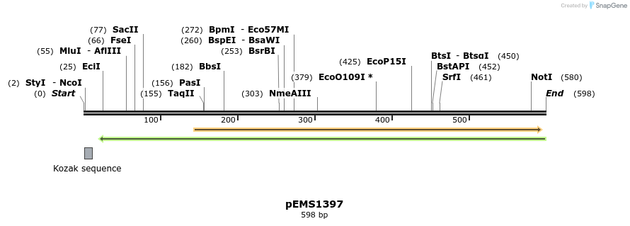 39568_map