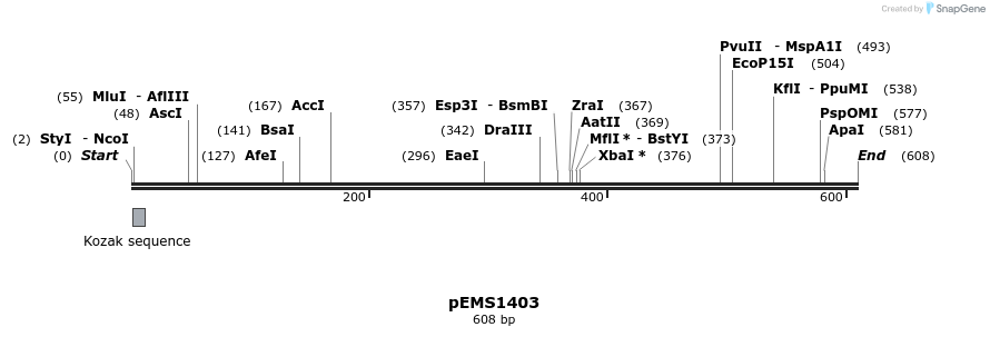 39573_map