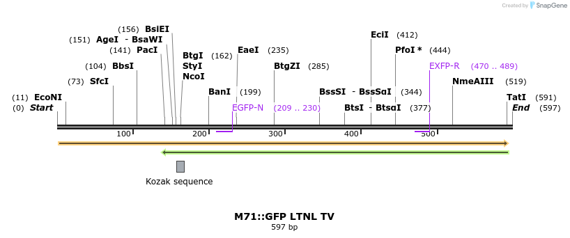 39574_map
