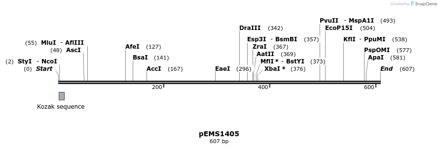 39577_map