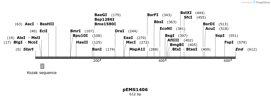 39578_map