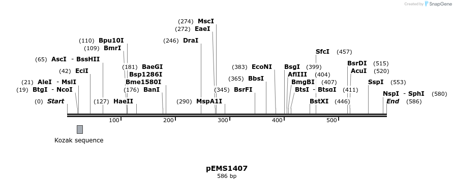 39579_map