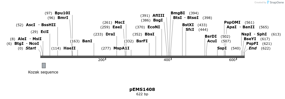 39580_map