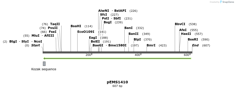 39582_map