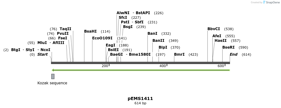 39583_map