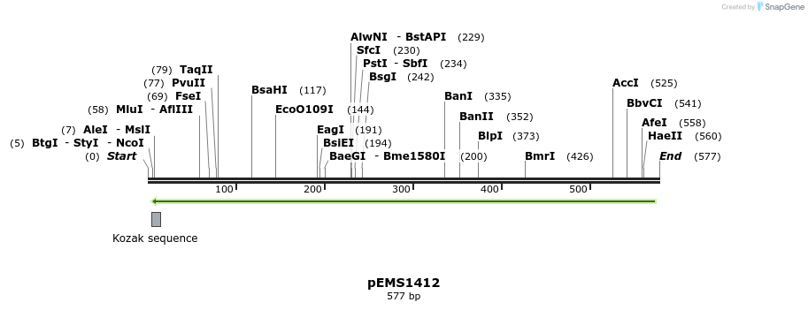39584_map