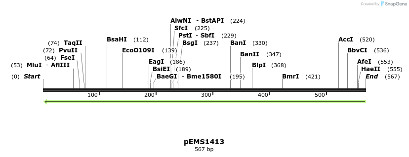 39585_map