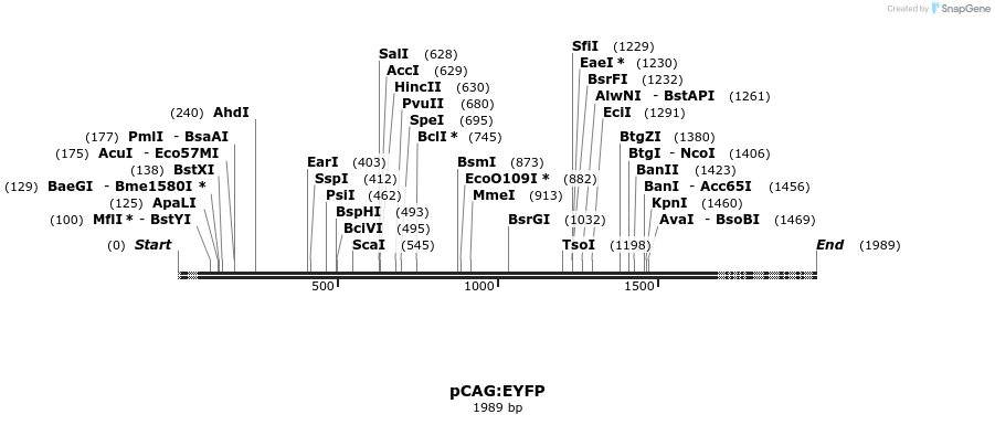 39587_map