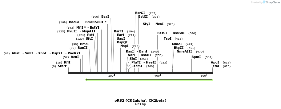 39591_map