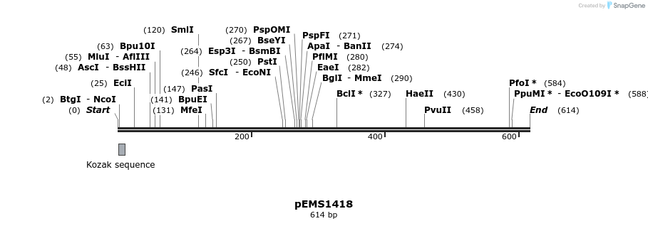 39597_map