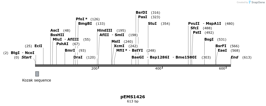 39605_map