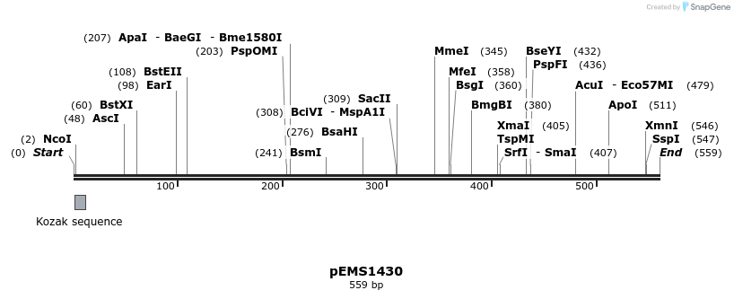 39608_map