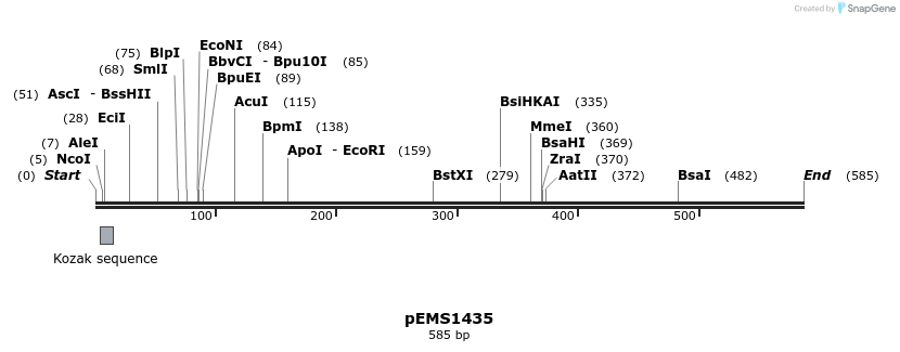 39613_map