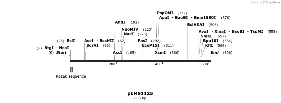 39616_map