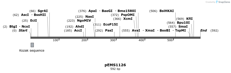 39617_map