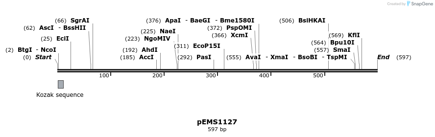 39618_map