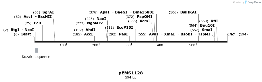 39619_map