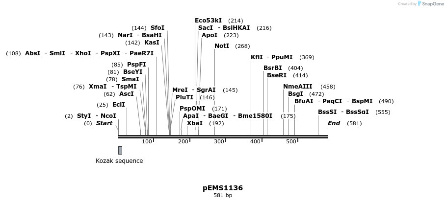 39622_map