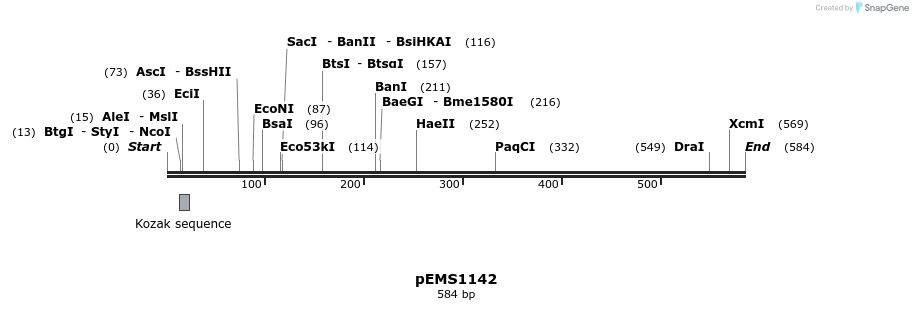 39623_map