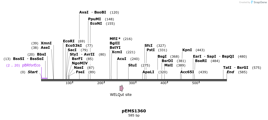39631_map
