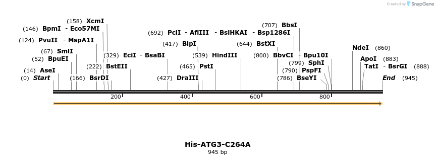 396329_map