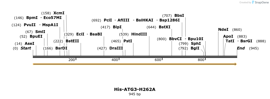 396331_map
