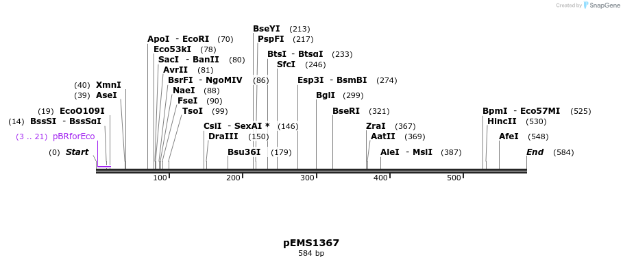 39638_map