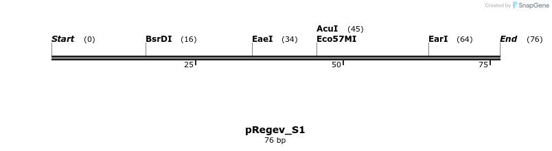 396419_map