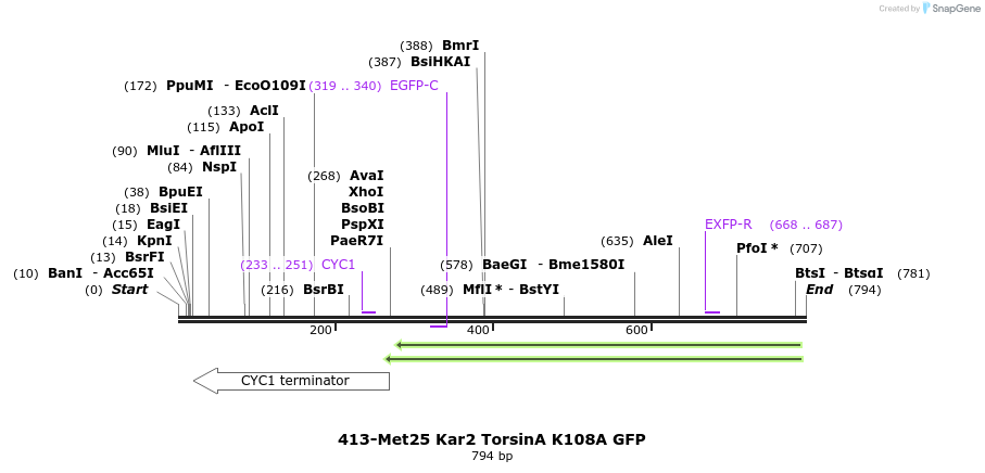 39642_map